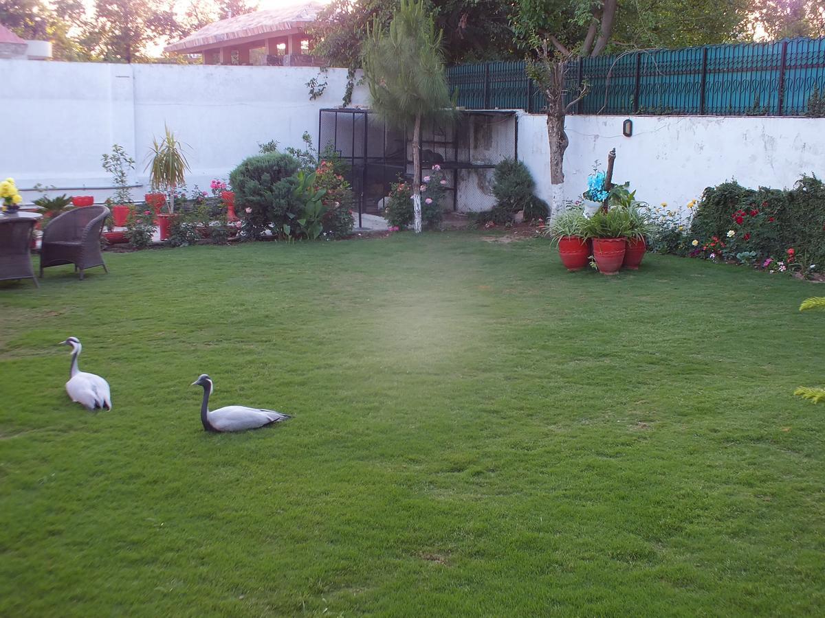 Capetown Guest House Islamabad Ngoại thất bức ảnh